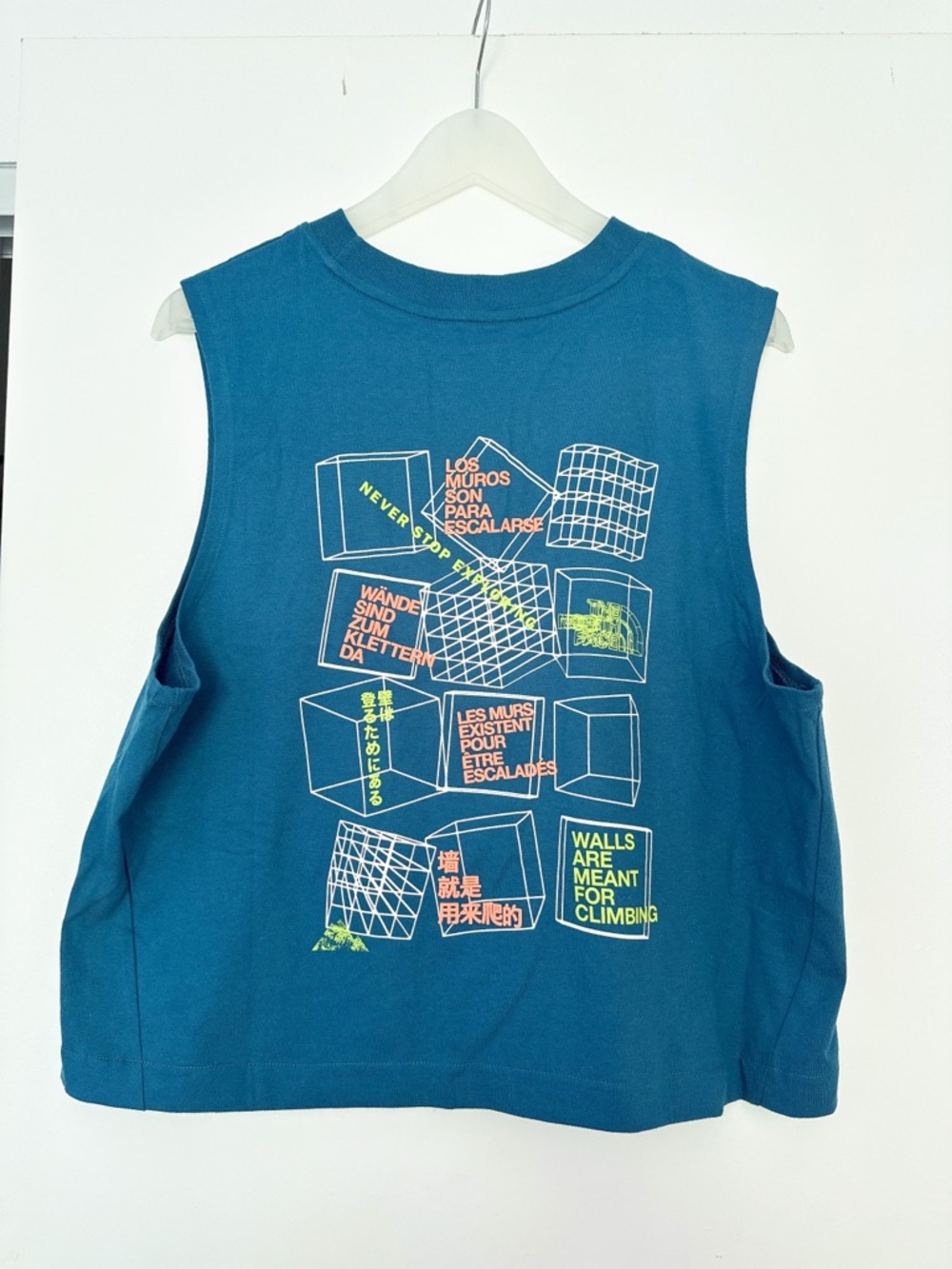 The North Face Graphic Tank Top Size XL in Blue Coral